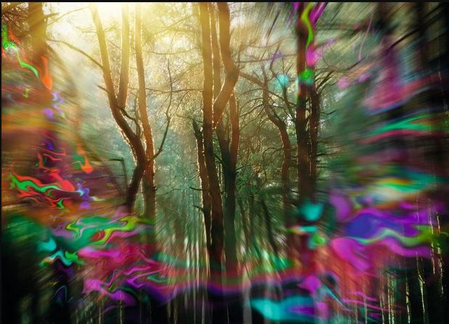 Cili është ndryshimi midis dhimbjes së kokës dhe migrenës?