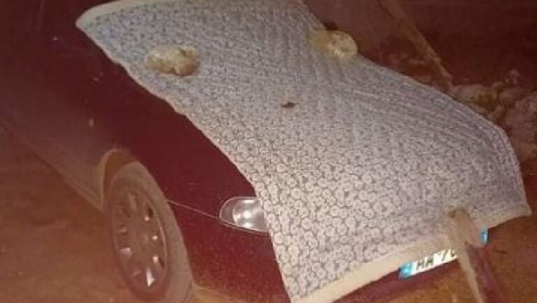Foto/ Temperatura të ulëta dhe ngrica, shqiptari e ‘mbulon që të mos ftohet’ makinën e tij