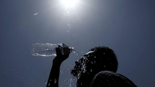 Po vjen i nxehti afrikan, java e ardhshme sjell temperatura mbi 38 gradë